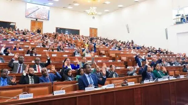 ፓርላማው የፌዴራል መንግሥት በክልሎች ጣልቃ የሚገባበትን ሥርዓት የሚደነግገውን የማሻሻያ አዋጅ አጸደቀ - Sputnik አፍሪካ