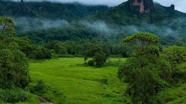 በኢትዮጵያ 34 ሚሊዮን ሄክታር የተራቆተ መሬት መልሶ እንዲያገግም መደረጉ ተገለፀ - Sputnik አፍሪካ