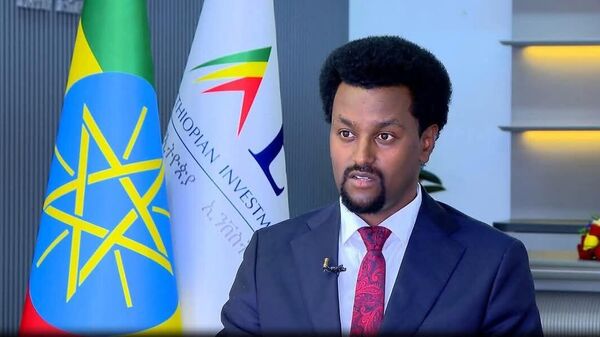 ኢትዮጵያ ባለፉት ዘጠኝ ወራት የሳበችው ቀጥተኛ የውጭ ኢንቨስትመንት 2 - Sputnik አፍሪካ