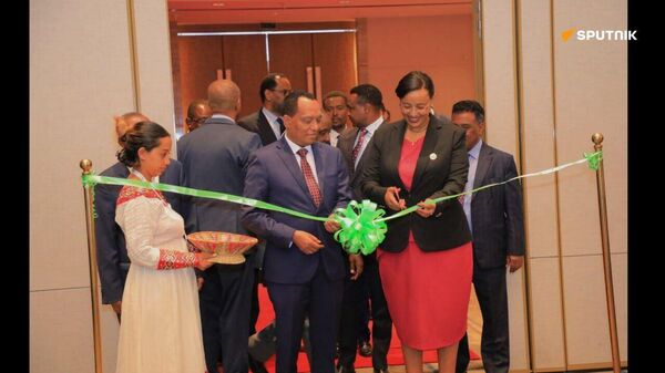 የኢትዮጵያ አየር መንገድ የብሪክስ ሀገራትን የአቪዬሽን ኢንዱስትሪ ለማሳደግ እንደሚሠራ ገለፀ - Sputnik አፍሪካ