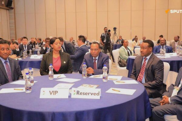የኢትዮጵያ አየር መንገድ የብሪክስ ሀገራትን የአቪዬሽን ኢንዱስትሪ ለማሳደግ እንደሚሠራ ገለፀ የኢትዮጵያ አየር መንገድ የብሪክስ ሀገራትን የአቪዬሽን ኢንዱስትሪ ለማሳደግ እንደሚሠራ ገለፀ - Sputnik አፍሪካ
