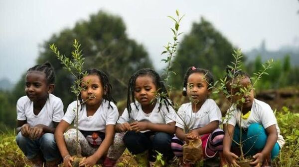 በአረንጓዴ አሻራ መርሃ-ግብር 7 - Sputnik አፍሪካ