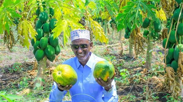 በአፋር ክልል በቅርቡ 10 ፋብሪካዎች እንደሚመረቁ ተገለፀ - Sputnik አፍሪካ