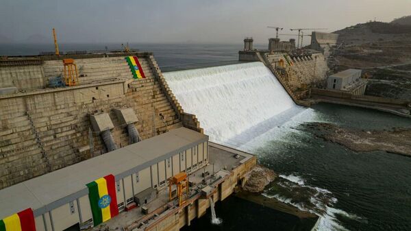 የታላቁ የኢትዮጵያ ህዳሴ ግድብ ሥነ ምህዳርን በመጠበቅ ረገድ ቁልፍ አስተዋጽኦ እያደረገ ነው - Sputnik አፍሪካ
