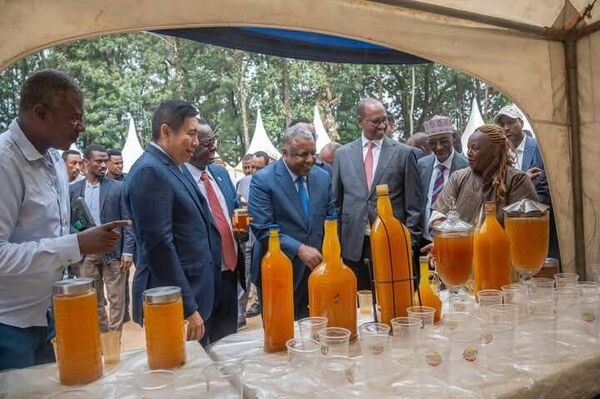 ኢትዮጵያ ለንብ ሃብት ልማት ምቹ ሥነ-ምህዳር እንደተሰጣት የግብርና ሚኒስትሩ ተናገሩ ኢትዮጵያ ለንብ ሃብት ልማት ምቹ ሥነ-ምህዳር እንደተሰጣት የግብርና ሚኒስትሩ ተናገሩ - Sputnik አፍሪካ