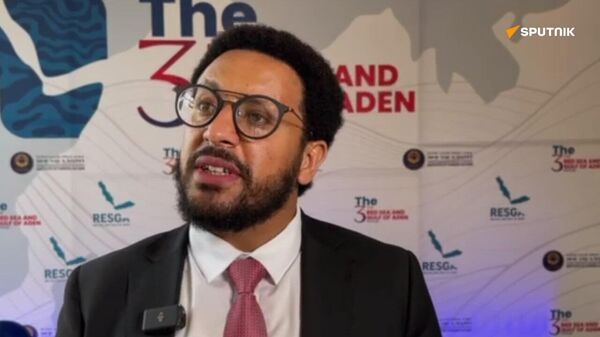 ኢትዮጵያ በኤደን ባሕረ ሰላጤ እና በቀይ ባሕር ቀጣና ሰላምና ደህንነትን በማስጠበቅ ረገድ በጣም ገንቢና አዎንታዊ ሚና መጫወት ትችላለች” - Sputnik አፍሪካ