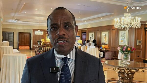 የኢትዮጵያ የውጭ ጉዳይ ፖሊሲ ጥሩ ቁመና ላይ ይገኛል ሲሉ ሚኒስትር ደኤታው ተናገሩ - Sputnik አፍሪካ