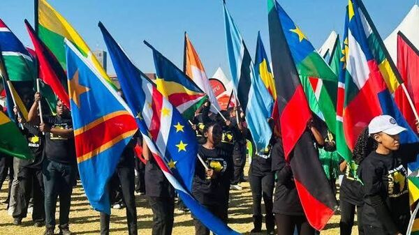 ዓለም ለአፍሪካ ያለውን አተያይ በራሳችን ትርክት መቀየር አለብን ሲሉ ኢትዮጵያዊው የፓን-አፍሪካኒዝም አቀንቃኝ ተናገሩ - Sputnik አፍሪካ