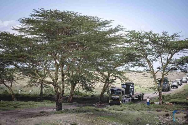 ኬንያ 21 ለአደጋ የተጋለጡ አውራሪሶችን ወደ አዲስ መጠለያ ሥፍራ አዛወረች ኬንያ 21 ለአደጋ የተጋለጡ አውራሪሶችን ወደ አዲስ መጠለያ ሥፍራ አዛወረች - Sputnik አፍሪካ