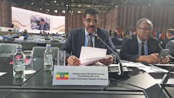 ኢትዮጵያ የደቡባዊውን ዓለም ፍላጎት ችላ ያለ የዓለም አቀፍ መዋቅር ማሻሻያ ለውድቀት የተጋለጠ ነው አለች - Sputnik አፍሪካ