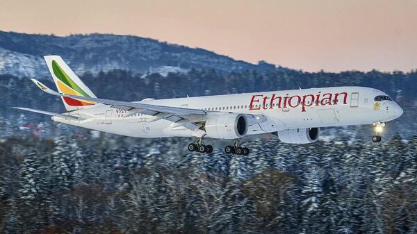 የኢትዮጵያ አየር መንገድ የኢትዮ-ሩሲያ ስትራቴጂካዊ አጋርነትን ለማጠናከር ቁልፍ ሚና አለው - የአቪዬሽን ኤክስፐርት - Sputnik አፍሪካ