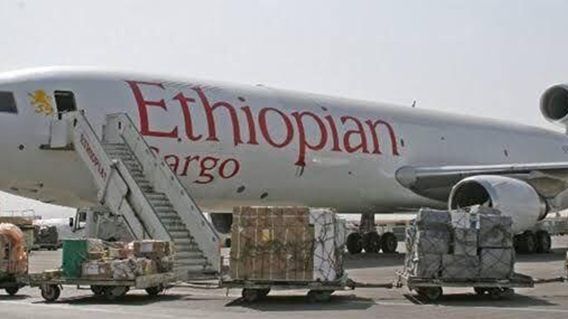 የአፍሪካ ፋይናንስ ኮርፖሬሽን የኢትዮጵያ አየር መንገድ የአፍሪካን የጭነት ገበያ 35 በመቶ ተቆጣጥሯል ሲል አስታወቀ የአፍሪካ ፋይናንስ ኮርፖሬሽን የኢትዮጵያ አየር መንገድ የአፍሪካን የጭነት ገበያ 35 በመቶ ተቆጣጥሯል ሲል አስታወቀ - Sputnik አፍሪካ, 1920, 08.06.2025