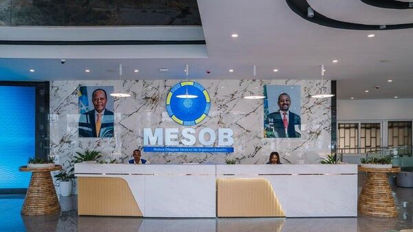 መሶብ የአንድ ማዕከል አገልግሎት ከ80 በላይ ተጨማሪ አገልግሎቶችን ወደ ሥራ ሊያስገባ ነው - Sputnik አፍሪካ