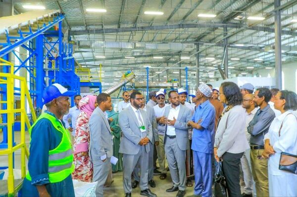 በአፋር ባለፉት ሰባት ዓመታት ከ300 በላይ ፋብሪካዎች ተገንብተዋል ተባለ በአፋር ባለፉት ሰባት ዓመታት ከ300 በላይ ፋብሪካዎች ተገንብተዋል ተባለ - Sputnik አፍሪካ