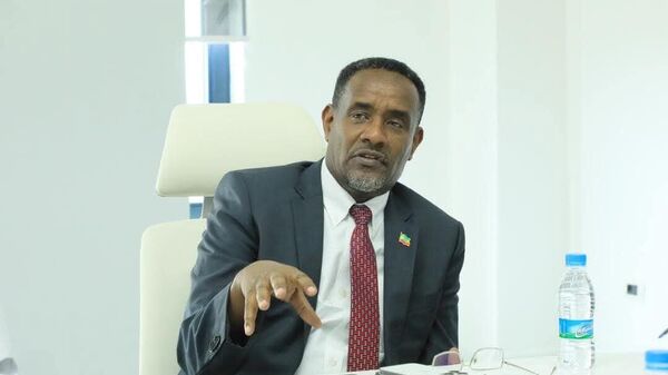 ኢትዮጵያ የብሪክስ ባንክን ለመቀላቀል በምታደርገው ጥረት የተባበሩት አረብ ኤምሬቶችን ሙያዊ እገዛ ጠየቀች - Sputnik አፍሪካ