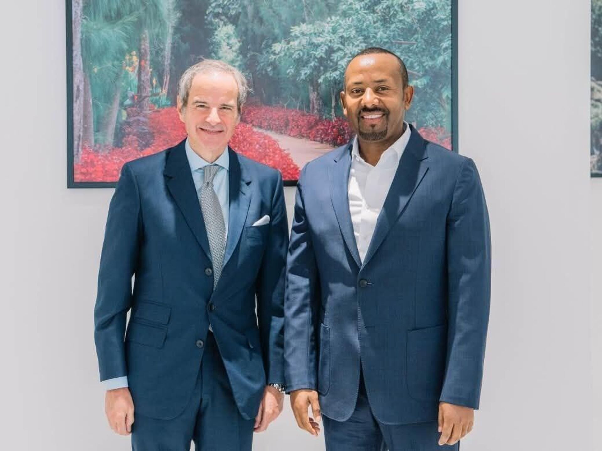 ጠቅላይ ሚኒስትር ዐቢይ አሕመድ ከዓለም አቀፉ የአቶሚክ ኃይል ኤጀንሲ ኃላፊ ጋር በአዲስ አበባ መከሩ ጠቅላይ ሚኒስትር ዐቢይ አሕመድ ከዓለም አቀፉ የአቶሚክ ኃይል ኤጀንሲ ኃላፊ ጋር በአዲስ አበባ መከሩ - Sputnik አፍሪካ, 1920, 30.06.2025