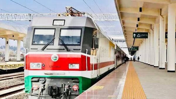 የኢትዮ-ጅቡቲ ባቡር ዕለታዊ የውጭ ንግድ አገልግሎት ማስጀመሩን አስታወቀ - Sputnik አፍሪካ