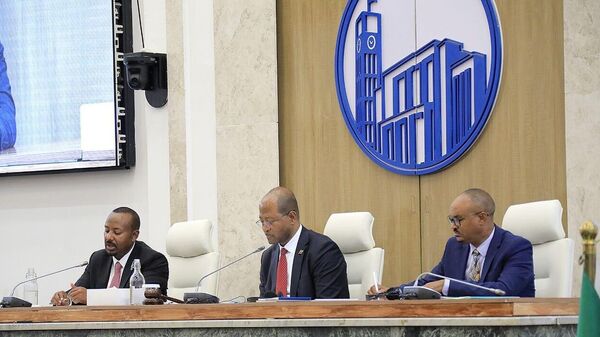 የ2018 የፌዴራል መንግሥት በጀት 1 - Sputnik አፍሪካ