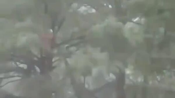 #viral | ደፋር የቴክሳስ ሄሊኮፕተር ሠራተኞች ከጎርፍ አደጋ ለማመለጥ ዛፍ ላይ ተንጠላጥላ የነበረችን ሴት ታደጉ - Sputnik አፍሪካ