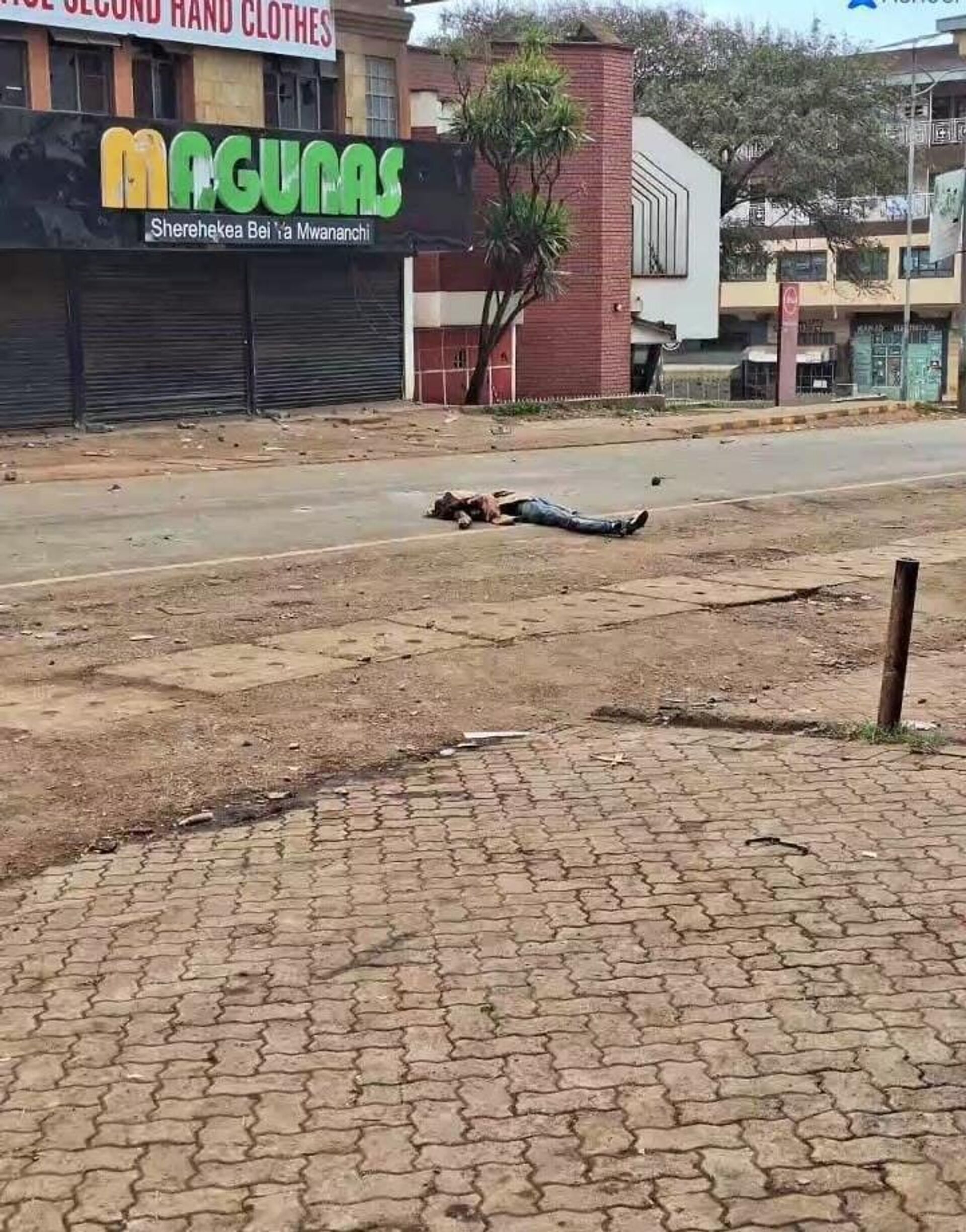 በተባባሰው የኬንያ የሳባ ሳባ ተቃውሞ ቢያንስ 4 ሰዎች በተኩስ መገደላቸው ተዘገበ በተባባሰው የኬንያ የሳባ ሳባ ተቃውሞ ቢያንስ 4 ሰዎች በተኩስ መገደላቸው ተዘገበ - Sputnik አፍሪካ, 1920, 07.07.2025