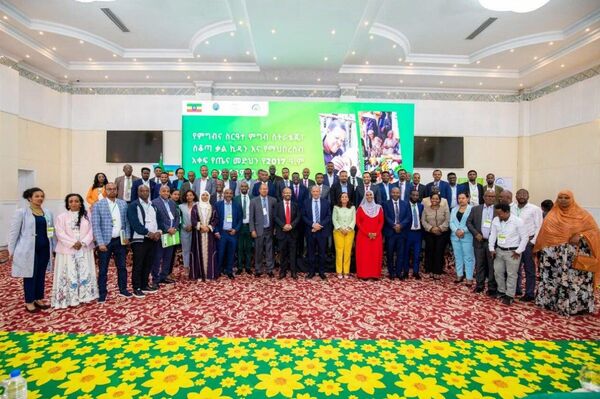 የጤና መድህን ከ63 ሚሊየን በላይ ለሚደርሱ ኢትዮጵያውያን ተደራሽ ሆነ ተባለ የጤና መድህን ከ63 ሚሊየን በላይ ለሚደርሱ ኢትዮጵያውያን ተደራሽ ሆነ ተባለ - Sputnik አፍሪካ