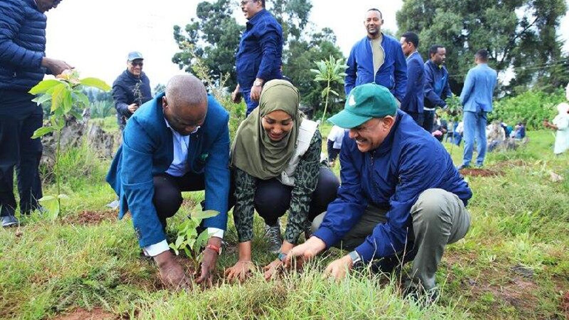 በስደተኞች ማቆያ አካባቢዎች 100 ሚሊየን ችግኞችን የመትክል የኢትዮጵያ ዓለም አቀፍ ውጥን በስደተኞች ማቆያ አካባቢዎች 100 ሚሊየን ችግኞችን የመትክል የኢትዮጵያ ዓለም አቀፍ ውጥን - Sputnik አፍሪካ, 1920, 12.07.2025
