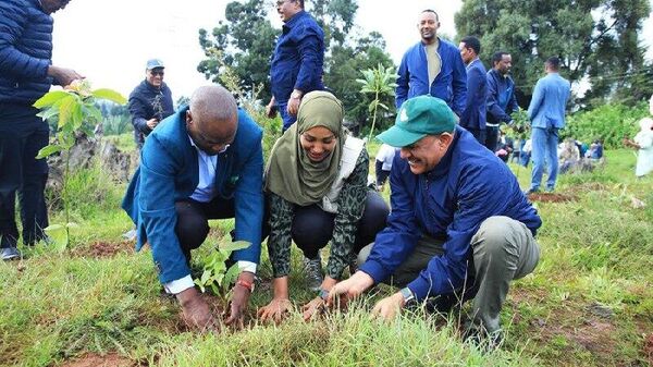 በስደተኞች ማቆያ አካባቢዎች 100 ሚሊየን ችግኞችን የመትክል የኢትዮጵያ ዓለም አቀፍ ውጥን - Sputnik አፍሪካ