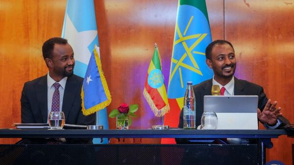 ኢትዮጵያ እና ሶማሊያ የግማሽ ዓመት ግምገማቸውን በአዲስ አበባ ጀመሩ - Sputnik አፍሪካ