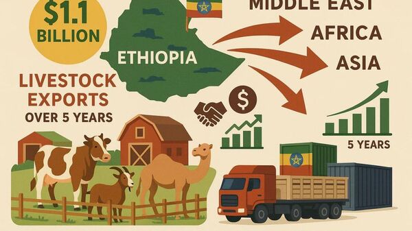 ኢትዮጵያ በመጪዎቹ 5 ዓመታት ከእንስሳት የወጪ ንግድ 1 - Sputnik አፍሪካ