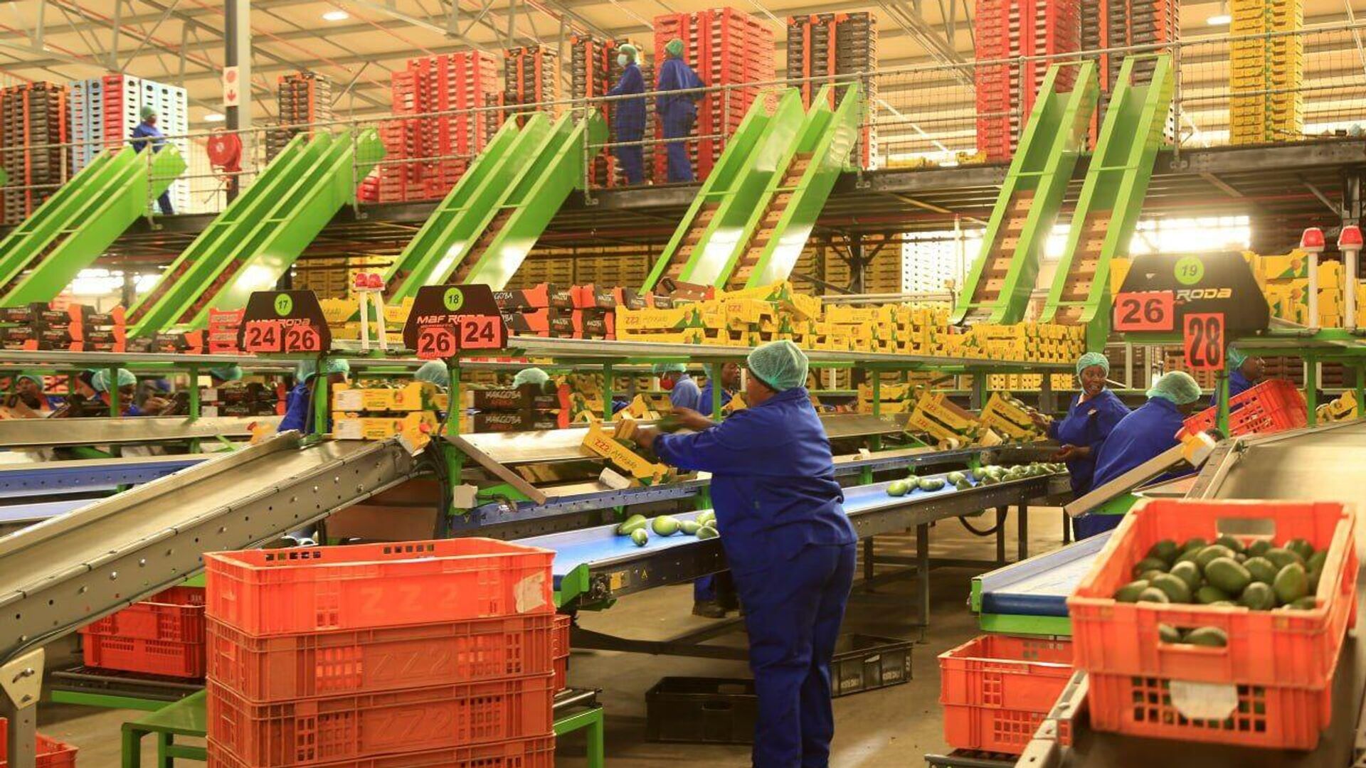 የአሜሪካ ቀረጥ ደቡብ አፍሪካ ወደ ብሪክስ ገበያዎች የምታደርገውን ሽግግር ሊያፋጥነው ይችላል ሲሉ ምሁሩ ገለጹ የአሜሪካ ቀረጥ ደቡብ አፍሪካ ወደ ብሪክስ ገበያዎች የምታደርገውን ሽግግር ሊያፋጥነው ይችላል ሲሉ ምሁሩ ገለጹ - Sputnik አፍሪካ, 1920, 19.07.2025