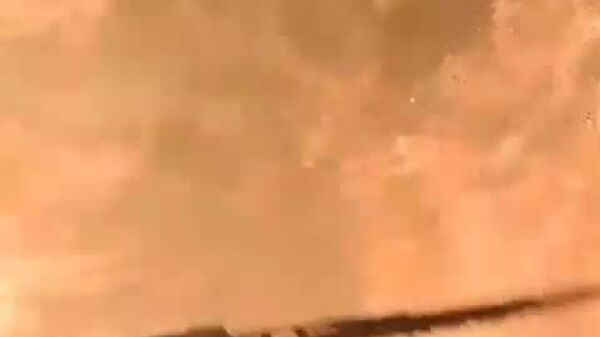 #viral | በሰሜን ምዕራብ ቱርክ በሳካሪያ ግዛት የደን ቃጠሎ ተነሳ - Sputnik አፍሪካ