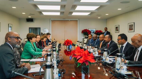 የኢትዮጵያ መንግሥት አይኤምኤፍ ብሔራዊ ባንክ በገለልተኛ ባለሙያዎች እንዲመራ ያቀረበውን ምክረ ሐሳብ ውድቅ አደረገ - Sputnik አፍሪካ