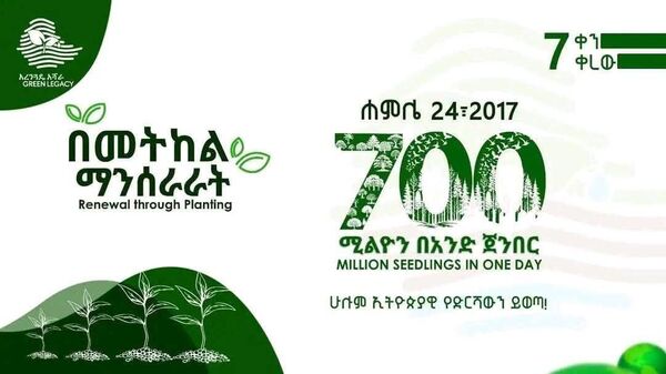 ኢትዮጵያ በመጪው ሐሙስ 700 ሚሊየን ችግኞችን በአንድ ጀምበር ለመትከል ዝግጅት ጀመረች - Sputnik አፍሪካ