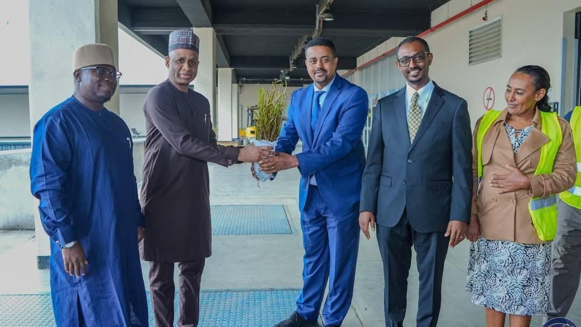 ናይጄሪያ ለኢትዮጵያ 2 ሺህ የካሽው ችግኝ እና 100 ሺህ ዘር በሥጦታ አበረከተች ናይጄሪያ ለኢትዮጵያ 2 ሺህ የካሽው ችግኝ እና 100 ሺህ ዘር በሥጦታ አበረከተች - Sputnik አፍሪካ, 1920, 28.07.2025