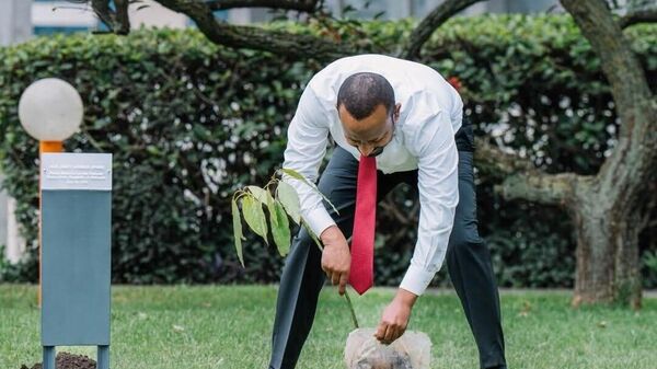 በተባበሩት መንግሥታት የምግብ ሥርዓቶች ጉባኤ ላይ የተገኙ የተለያዩ ሀገራት መሪዎች የአረንጓዴ ዐሻራችውን አሳረፉ - Sputnik አፍሪካ