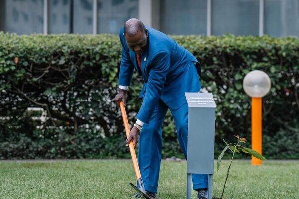 በተባበሩት መንግሥታት የምግብ ሥርዓቶች ጉባኤ ላይ የተገኙ የተለያዩ ሀገራት መሪዎች የአረንጓዴ ዐሻራችውን አሳረፉ - Sputnik አፍሪካ