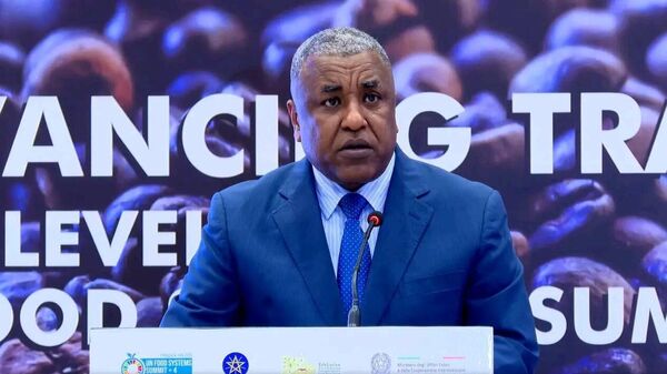 በአረንጓዴ ዐሻራ መርሃ ግብር 8 - Sputnik አፍሪካ