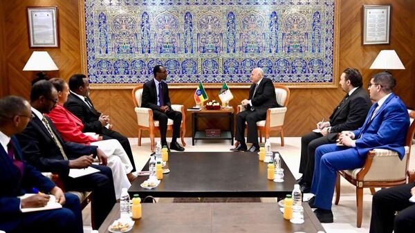 ኢትዮጵያ እና አልጄሪያ በዓለም ዓቀፍ መድረኮች ላይ የጋራ አጀንዳዎችን ለማራመድ ከመግባባት ደረሱ - Sputnik አፍሪካ