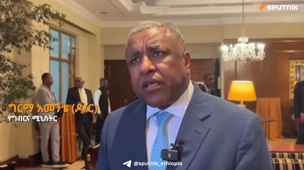 አርሶ እና አርብቶ አደሮች ያለ ተያዥ ከባንኮች ብድር የሚያገኙበት አሠራር አየተመቻቸ መሆኑን የግብርና ሚኒስትር ግርማ አመንቴ ገለፁ - Sputnik አፍሪካ