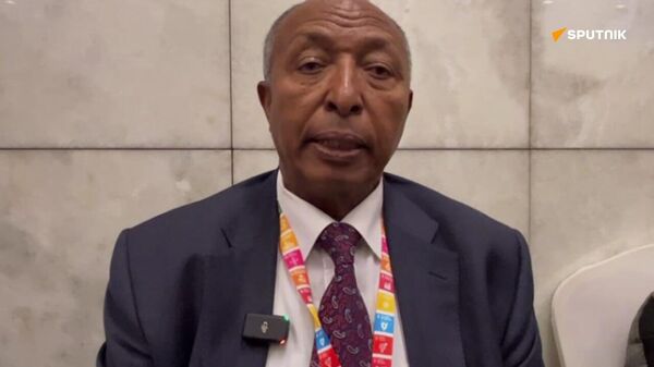 የአረንጓዴ አሻራ መርሃግብር ውጤት ለትውልድ የሚተላለፍ ነው - የኢትዮጵያ የስርዓተ ምግብ ሽግግር አስተባባሪ - Sputnik አፍሪካ