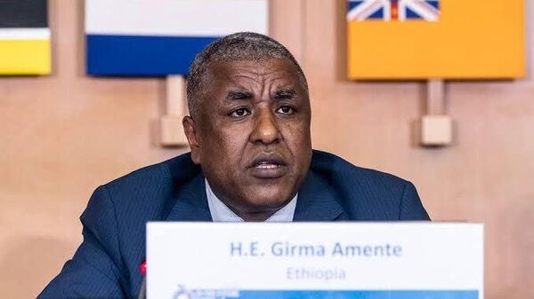 የግርማ አመንቴ ሹመት ኢትዮጵያ አፍሪካን በመወከል ለምትጫወተው ሚና ትልቅ ግምት የሰጠ ነው - የውጭ ጉዳይ ሚኒስቴር - Sputnik አፍሪካ