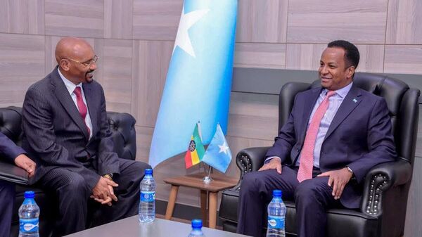 አምባሳደር ሱሌማን ደደፎ በሶማሊያ የኢትዮጵያ አምባሳደር ሆነው ተሾሙ - Sputnik አፍሪካ