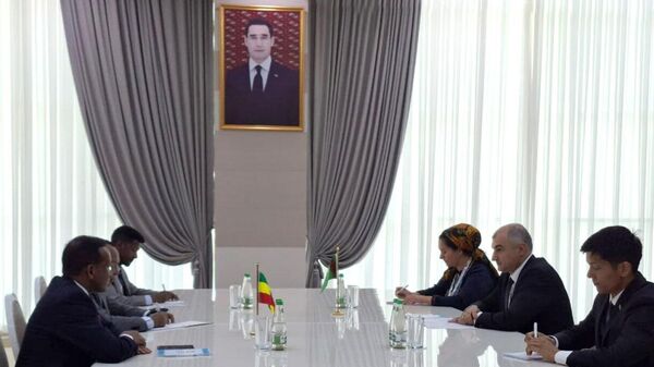 ኢትዮጵያ እና ቱርክሜኒስታን ትብብራቸውን ማጠናከር በሚችሉብት መንገድ ዙሪያ ተወያዩ - Sputnik አፍሪካ
