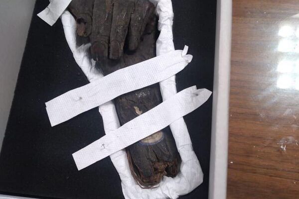 ግብጽ 13 የተሰረቁ ቅርሶችን ከብሪታንያ እና ከጀርመን አስመለሰች ግብጽ 13 የተሰረቁ ቅርሶችን ከብሪታንያ እና ከጀርመን አስመለሰች - Sputnik አፍሪካ