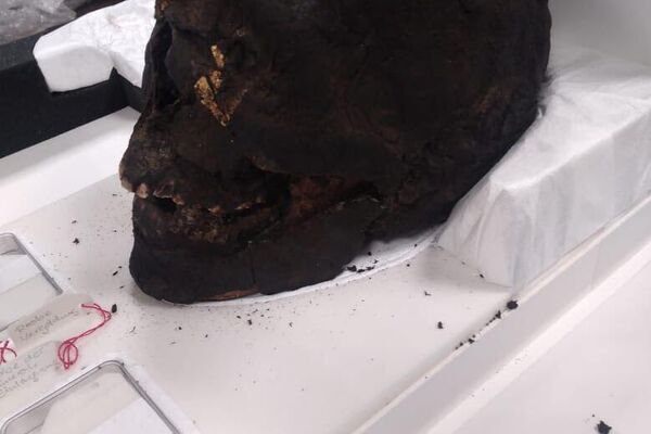 ግብጽ 13 የተሰረቁ ቅርሶችን ከብሪታንያ እና ከጀርመን አስመለሰች ግብጽ 13 የተሰረቁ ቅርሶችን ከብሪታንያ እና ከጀርመን አስመለሰች - Sputnik አፍሪካ