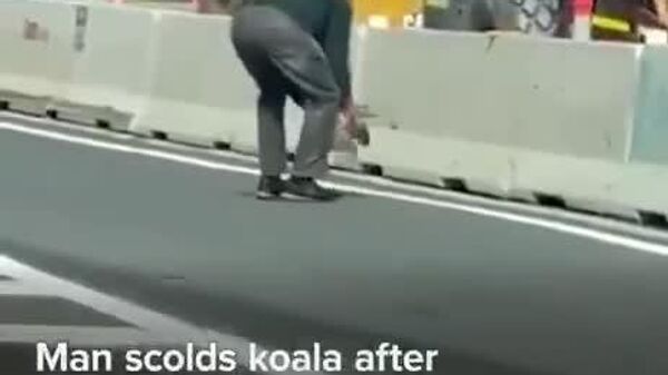 #viral| በአውስትራሊያ ኮዋላውን ከመንገድ ያዳኑት አዛውንት፤ ራሱን ከአደጋ እንዲጠብቅ በጨዋታ መልክ ሲገስፁት ታይተዋል - Sputnik አፍሪካ