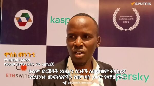በአፍሪካ የሳይበር ደህንነትን ለማረጋገጥ በተናጠል የሚደረጉ ጥረቶችን ማስተባበር ይገባል - የካስፐርስኪ የአፍሪካ ተወካይ - Sputnik አፍሪካ