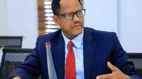 “ኢትዮጵያ ለሰው ሠራሽ አስተውህሎት አስተዳደር የብሪክስ የተማከለ ማዕቀፍ እንዲፈጠር አጥብቃ ድጋፍ ታደርጋለች” - የኢትዮጵያ ፓርላማ አባል - Sputnik አፍሪካ