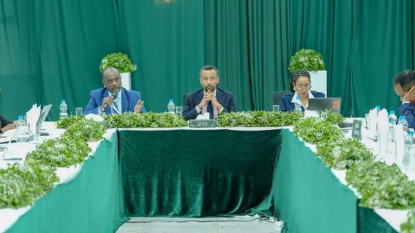 የኢትዮጵያ ኢንጀሪንግ ኮርፖሬሽን ወደ ናይጄሪያ እና ታንዛኒያ ፕሮጀክቶችን በማስፋፋት 1 - Sputnik አፍሪካ