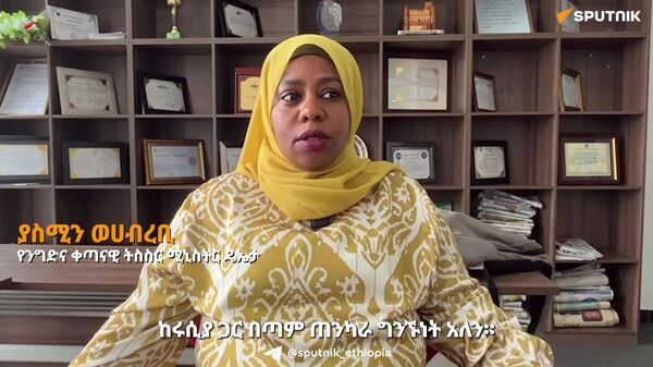 የሩሲያ ባለሐብቶች በኢትዮጵያ በኩል የአፍሪካን ገበያ መድረስ ይችላሉ - የንግድና ቀጣናዊ ትስስር ሚኒስቴር - Sputnik አፍሪካ